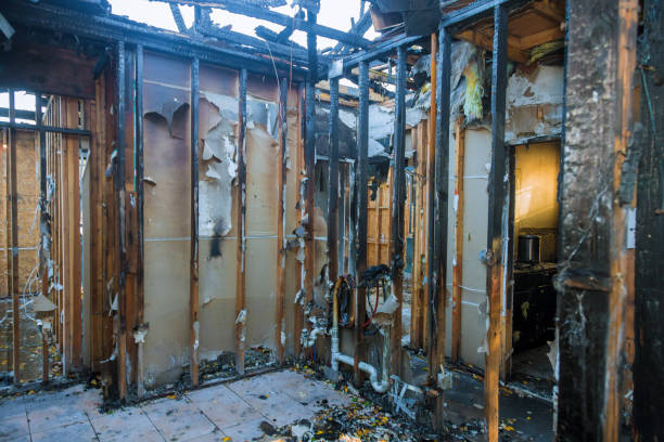Professional Fire Damage Repair technician working in Springfield, KY